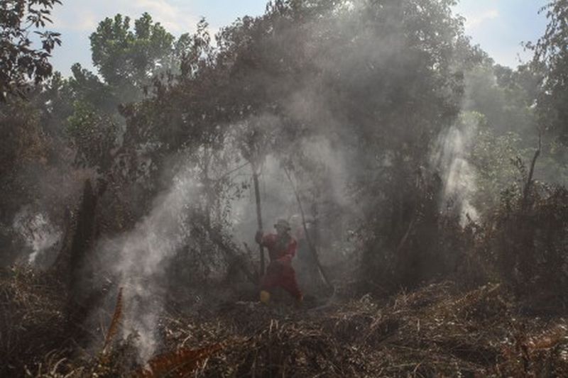 Petugas gabungan dari Polri, TNI, BPBD dan Masyarakat Peduli Api (MPA) Kota Pekanbaru berusaha memadamkan bara api yang membakar lahan gambut di Kecamatan Payung Sekaki, Pekanbaru, Riau, Senin (2/3). /Foto Antara