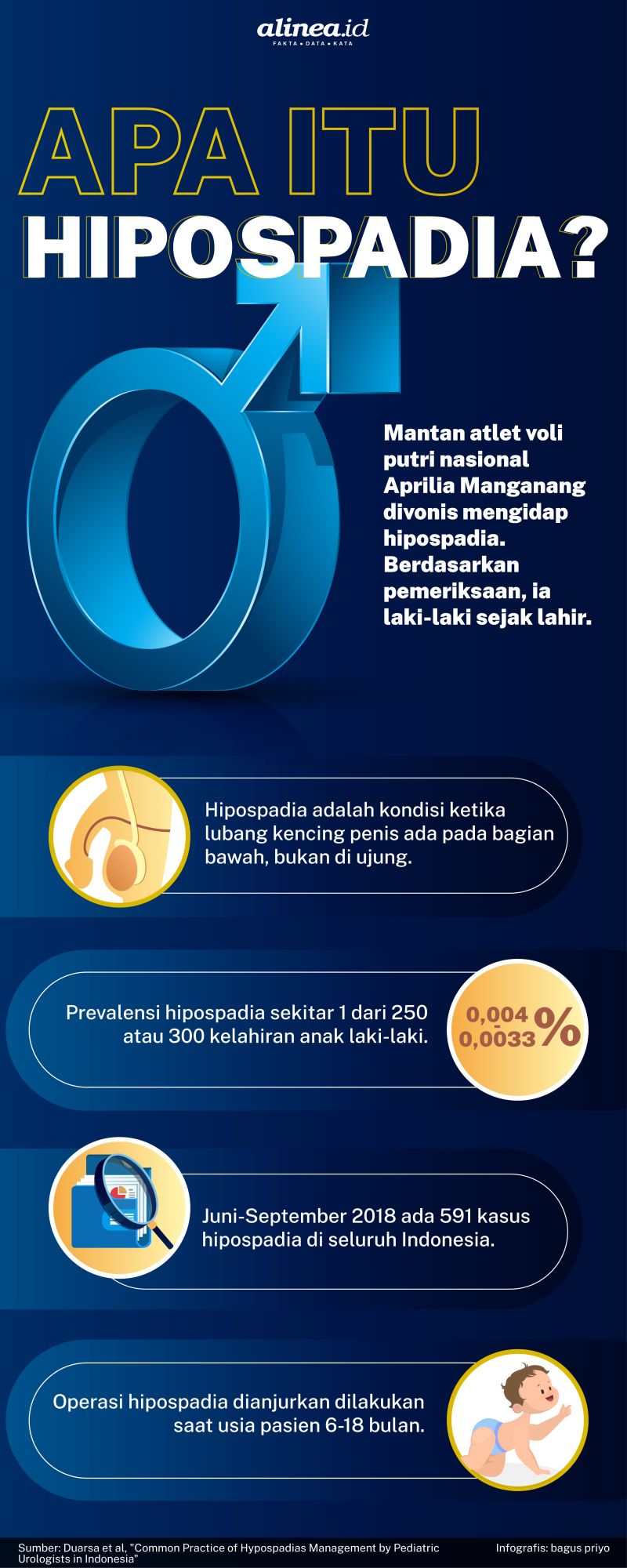 Infografik hipospadia. Alinea.id/Bagus Priyo.
