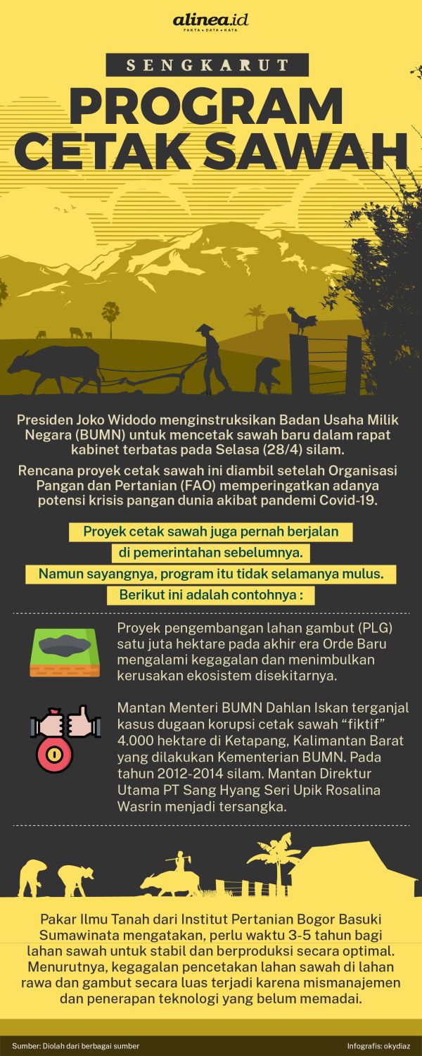 Presiden Jokowi menggulirkan kembali program cetak sawah untuk mengantisipasi ancaman krisis pangan. Alinea.id. Oky Diaz.