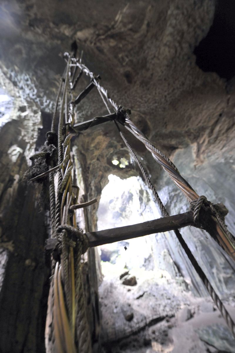 Tangga terbengkalai ini semula digunakan untuk memanen sarang burung walet di dalam gua. Foto Reuters/Ahim Rani.