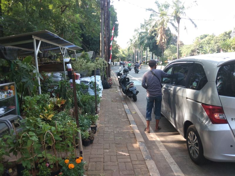 Seorang pedagang tanaman hias melayani pelanggan di depan lapaknya depan kantor Kementerian Pertanian, Ragunan, Jakarta Selatan. Alinea.id/Syah Deva Ammurabi.