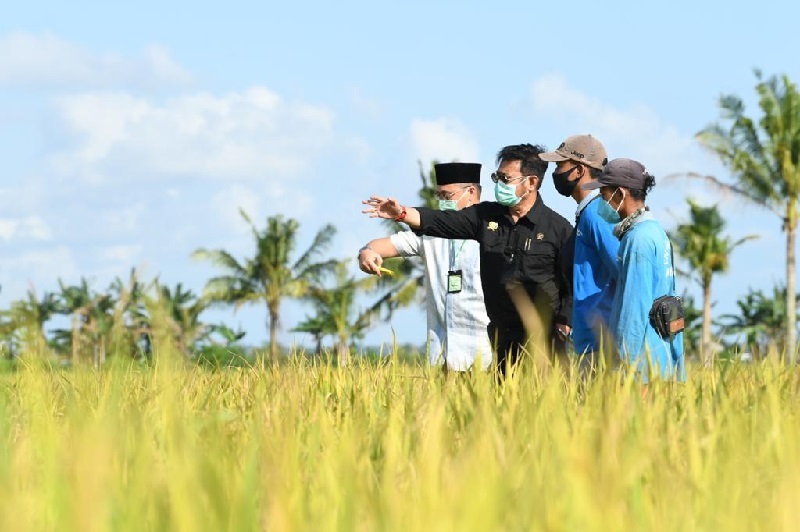  Menteri Pertanian (Mentan) Syahrul Yasin Limpo (baju hitam) saat meninjau lokasi pertanian, beberapa waktu lalu. Foto Humas Kementan.
