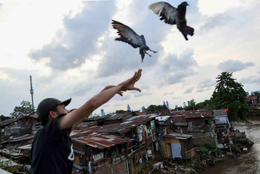 Warga melepaskan burung merpati tak jauh dari permukiman padat penduduk di bantaran Sungai Ciliwung, Kelurahan Manggarai, Kecamatan Tebet, Jakarta, Rabu (15/4/2020). Foto Antara/M. Risyal Hidayat 