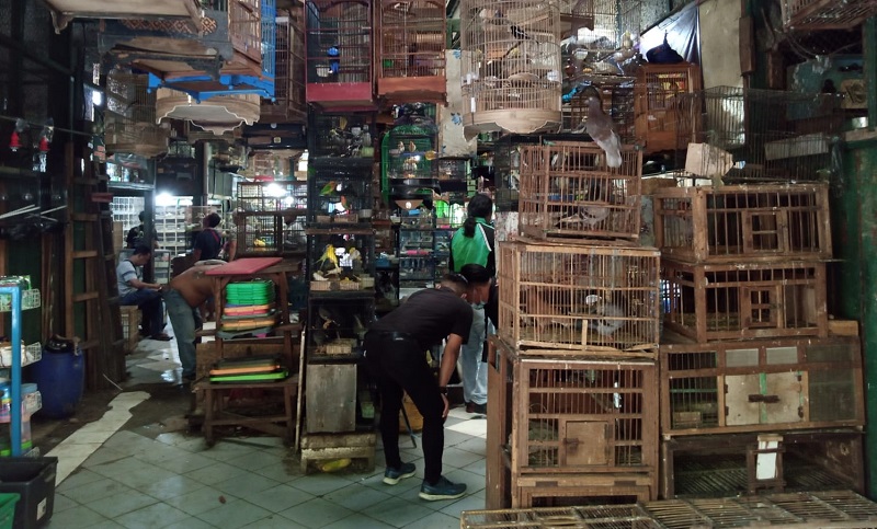 Pengunjung berjongkok untuk melongok salah satu kandang burung di Pasar Burung Pramuka, Matraman, Jakarta Timur, Rabu (18/5). Alinea.id/Kudus Purnomo Wahidin