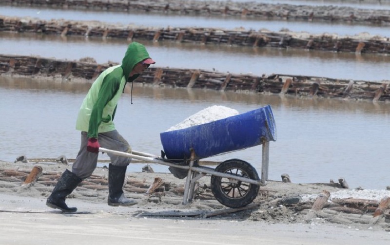 Pekerja mengangkut garam sisa panen di Lahan Pegaraman PT Garam (Persero) Pamekasan, Jawa Timur, Kamis (9/1/2020). /Foto Antara