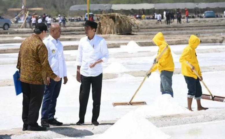 Presiden Jokowi meninjau panen garam di Kecamatan Kuoang Timur Kabupaten Kupang NTT, Rabu (21/8/2019). /Foto Antara