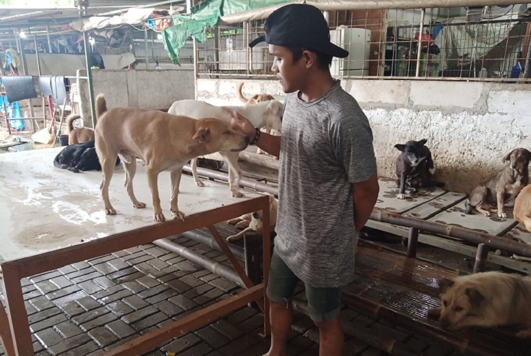 Petugas Pejaten Shelter mengelus leher seekor anjing penghuni penampungan di Pejaten, Jakarta Selatan, Selasa (28/3). Alinea.id/Kudus Purnomo Wahidin