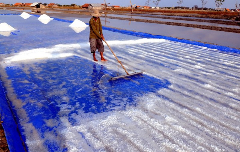 Ilustrasi petani garam. /Foto Antara