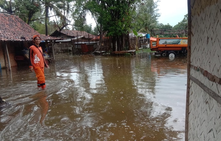  Banjir rob merendam sejumlah rumah warga di Pulau Pari, Kepulauan Seribu, DKI Jakarta dengan pepohonan yang rusak karena air laut pasang dan abrasi, Kamis (9/2/2023). Alinea.id/Kudus Purnomo Wahidin