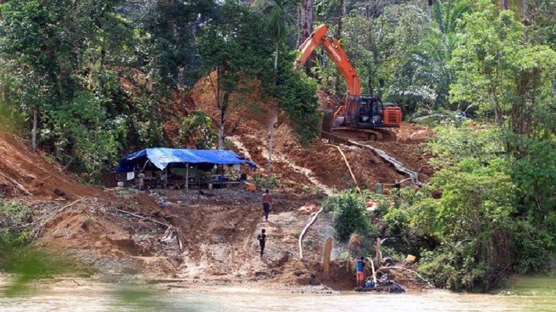Alat berat dioperasikan untuk menambang emas ilegal di kawasan pedalaman Kecamatan Sungai Mas, Aceh Barat, Aceh, Sabtu (29/8/2020). /Foto Antara