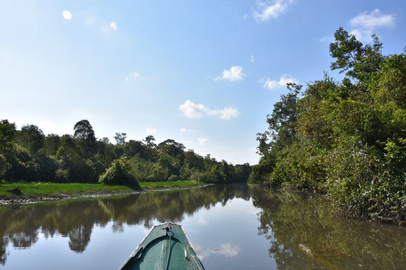 Kawasan seksi pengelolaan taman nasional (SPTN) Way Kanan, yang merupakan salah satu kawasan Taman Nasional Way Kambas, Lampung./Foto waykambas.org