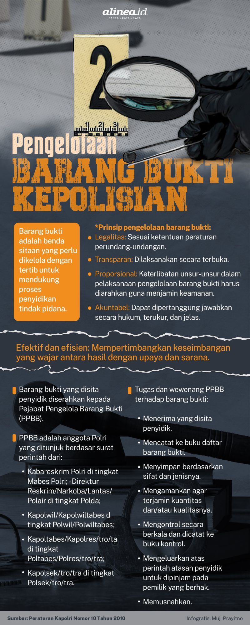 Infografik barang bukti. Alinea.id/Mudji Prayitno