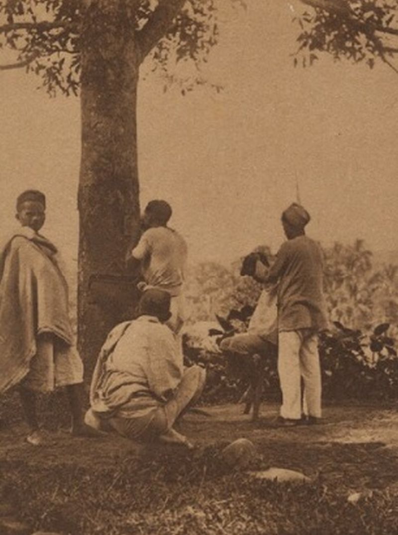 Seorang tukang cukur di bawah pohon rindang di sebuah tempat di Jawa Barat pada 1906./Foto Tropenmuseum/collectie.wereldculturen.nl