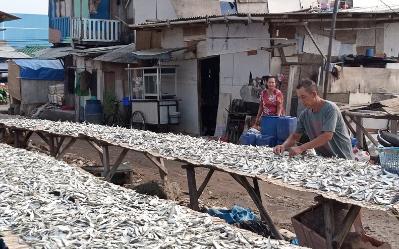 Warga mengeringkan ikan hasil tangkapan di Muara Angke, Pluit, Penjaringan, Jakarta Utara, Senin (25/7). Alinea.id/Kudus Purnomo Wahidin