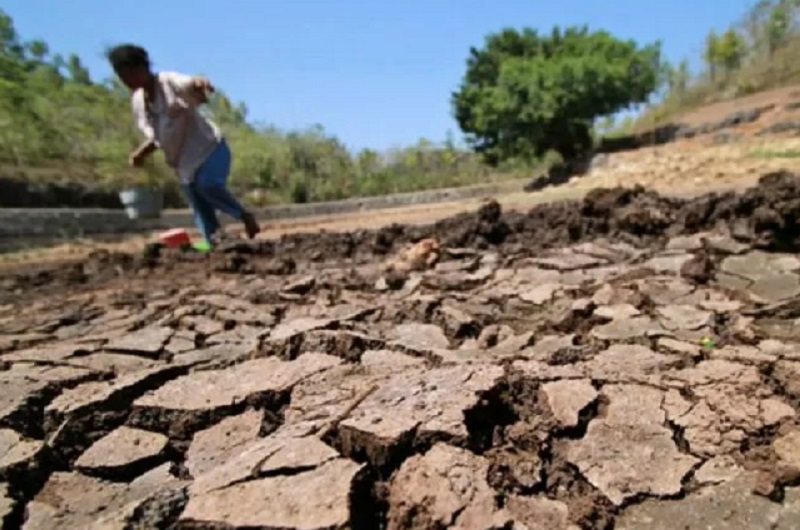 Ilustrasi kekeringan akibat siklus El Nino. /Foto Antara