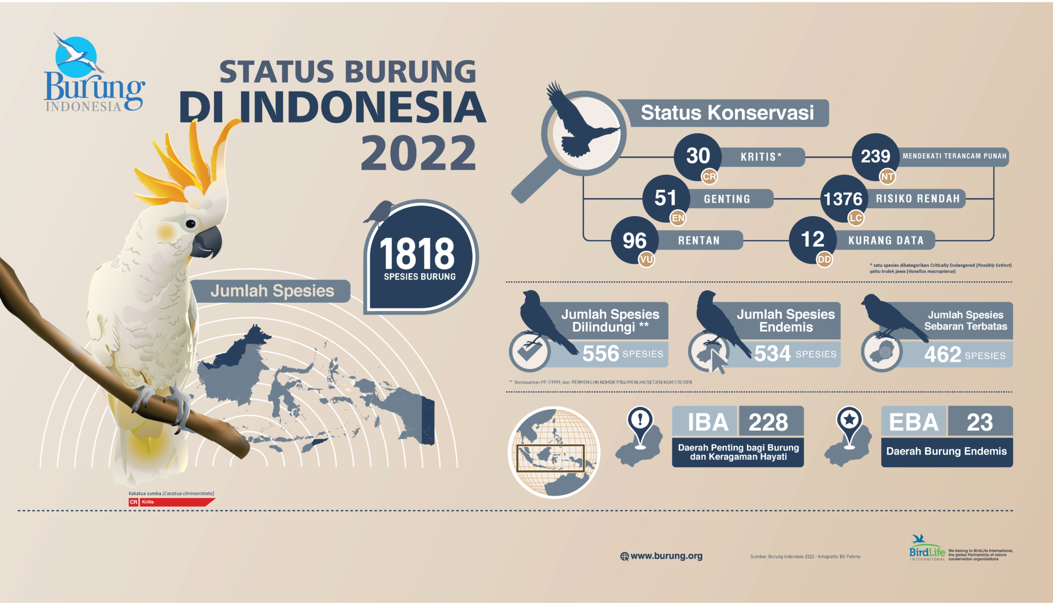 Status burung-burung yang terancam punah di Indonesia pada 2022. /Foto dok. Burung Indonesia