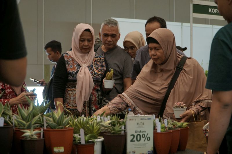 Pengunjung memilih tanaman hias jenis Sansiviera di FLOII 2023.