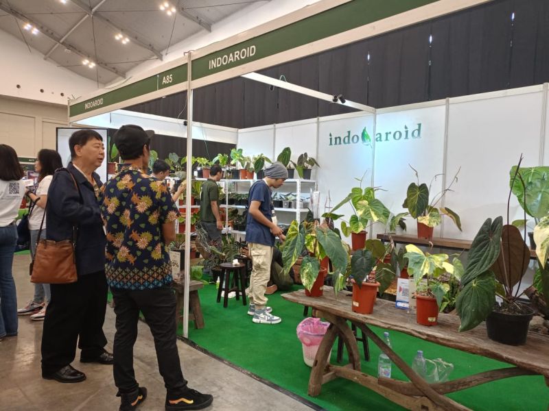 Floriculture Indonesia International (FLOII) Expo 2023 di ICE BSD, Tangerang digelar pada 28 September sampai 1 Oktober 2023. Kartika Runiasari.