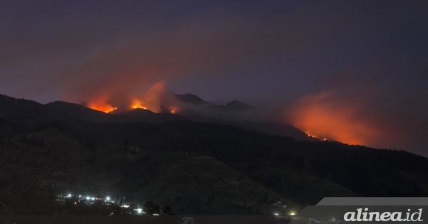 Kebakaran Gunung Merbabu Dan Andong Capai 225 Hektare