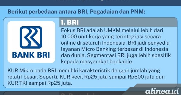 Perbedaan Lini Bisnis BRI, Pegadaian, Dan PNM