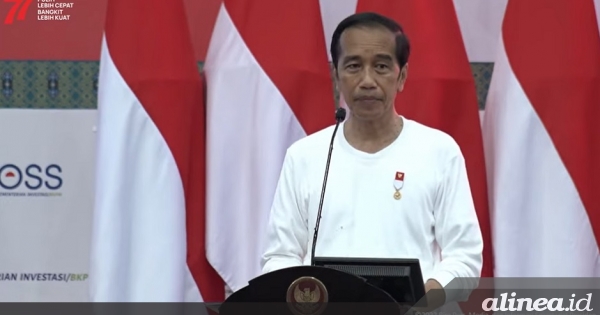 Bagikan NIB Di Papua, Ini Pesan Jokowi Ke Pelaku UMKM