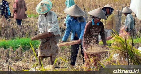 Mentan Tekankan Pentingnya Kolaborasi Atas Krisis Pangan