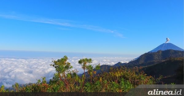 Gunung Semeru keluarkan 13 kali letusan