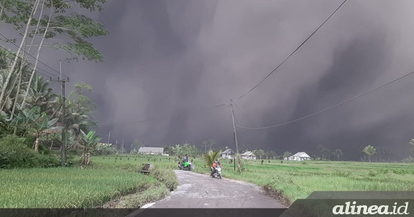 1.979 warga Lumajang mengungsi dampak erupsi Semeru