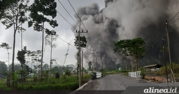 BNPB salurkan bantuan penanganan erupsi Semeru Rp350 juta