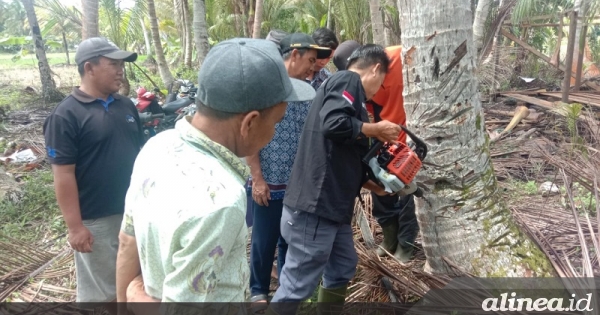 BPTP bantu petani atasi serangan hama Artona Catoxantha