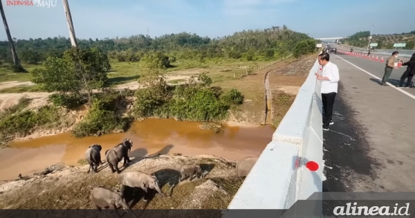 Pembangunan infrastruktur dimint harus perhatikan lingkungan