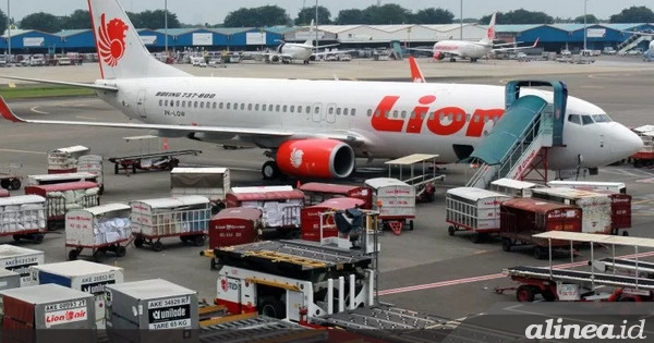 Awak pesawat Lion Air insiden JT-797 negatif alkohol-narkoba