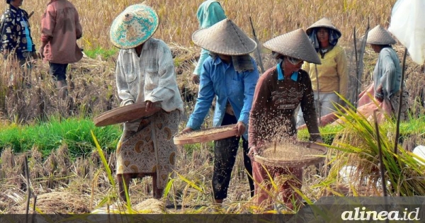 Dekan Faperta USU apresiasi panen raya padi satu juta hektare