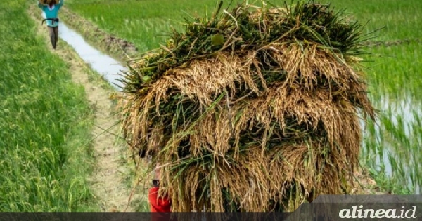 Forum Komunikasi Perguruan Tinggi Pertanian apresiasi kinerja Menteri Pertanian