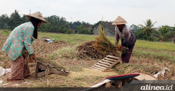 Bulog: Impor 500 Ribu Ton Beras Tuntas Juni 2023