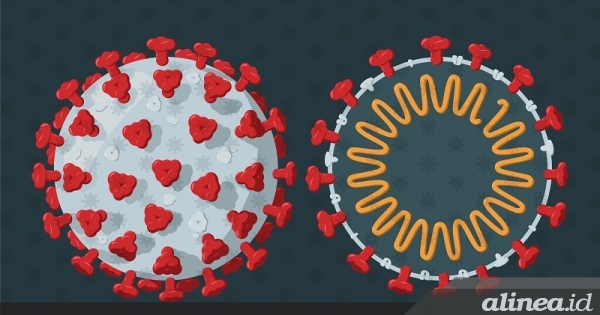 Kasus Covid-19 sub varian Arcturus bertambah, waspadalah!