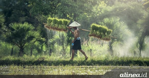 Temuan Satgasuss Polri soal pupuk subsidi di Karanganyar