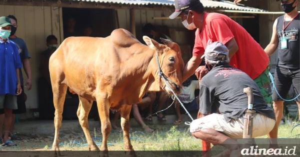 Pemerintah gelar sidang isbat penentuan Iduladha hari ini