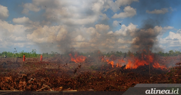 Kebakaran hutan masih terus terjadi