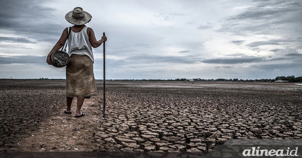 Peluang El Nino di Juni ini capai 80%