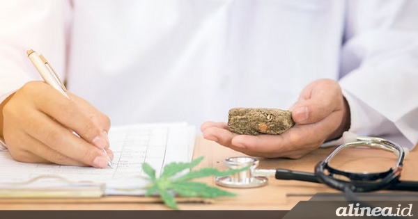 Revisi UU Narkotika, DPR dorong legalisasi ganja untuk medis