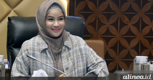 PPP sesalkan BPJS tidak lindungi korban kekerasan seksual