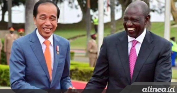 Pulang dari Afrika, Jokowi belajar pentingnya air