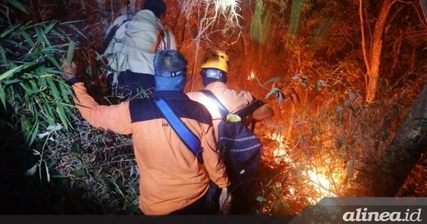 Angin sulitkan pemadaman kebakaran TN Gunung Ciremai