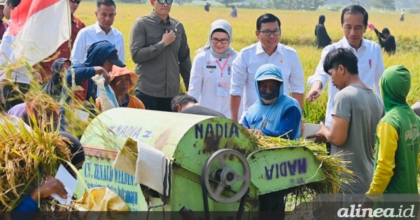 Presiden minta masyarakat tenang: Produksi beras terjaga!